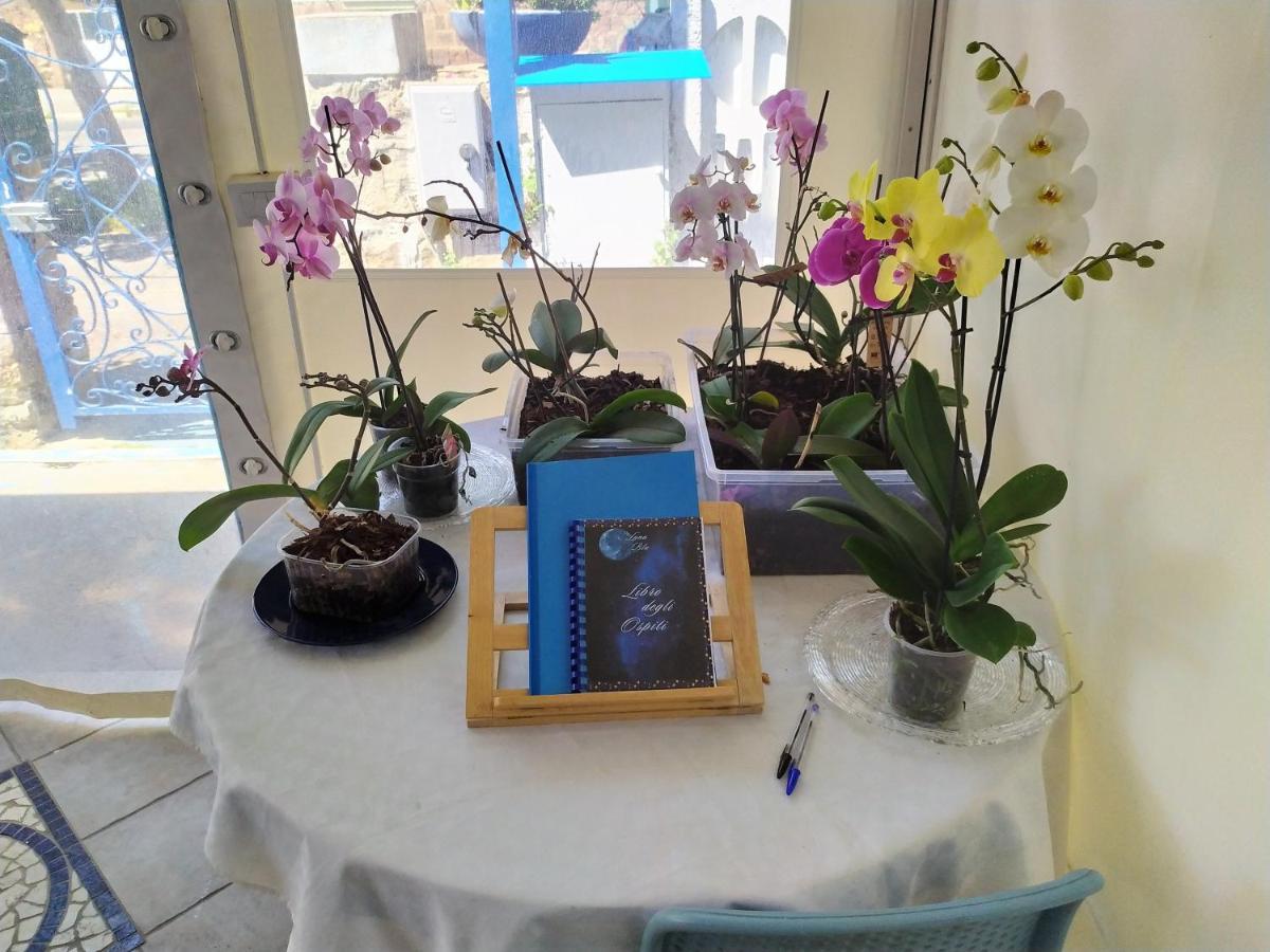 B&B Luna Blu Carbonia Buitenkant foto